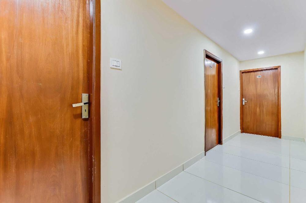 collection o champion paradise