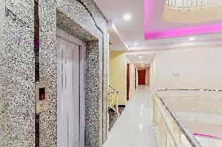 collection o champion paradise