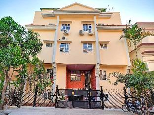 collection o champion paradise