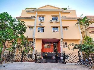 collection o champion paradise