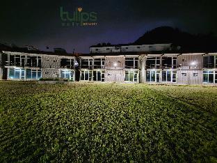 tulips village resorts