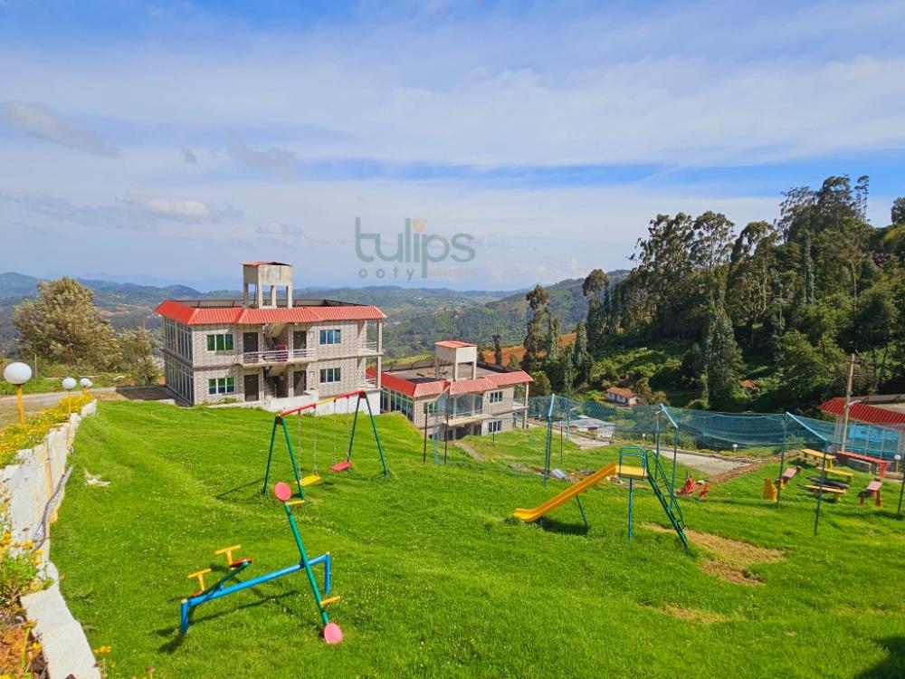 tulips village resorts
