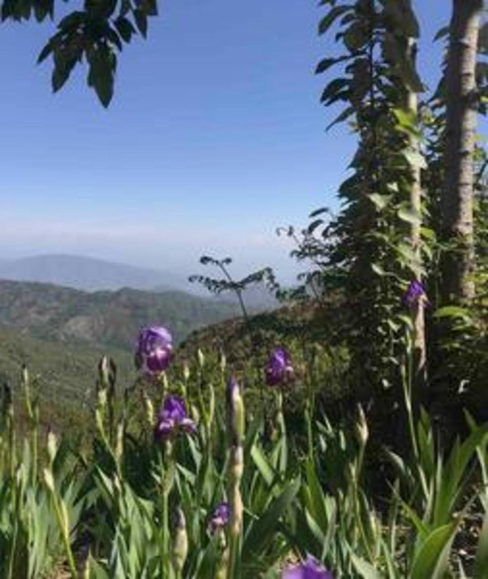 brikitt himalayan vista 2bhk