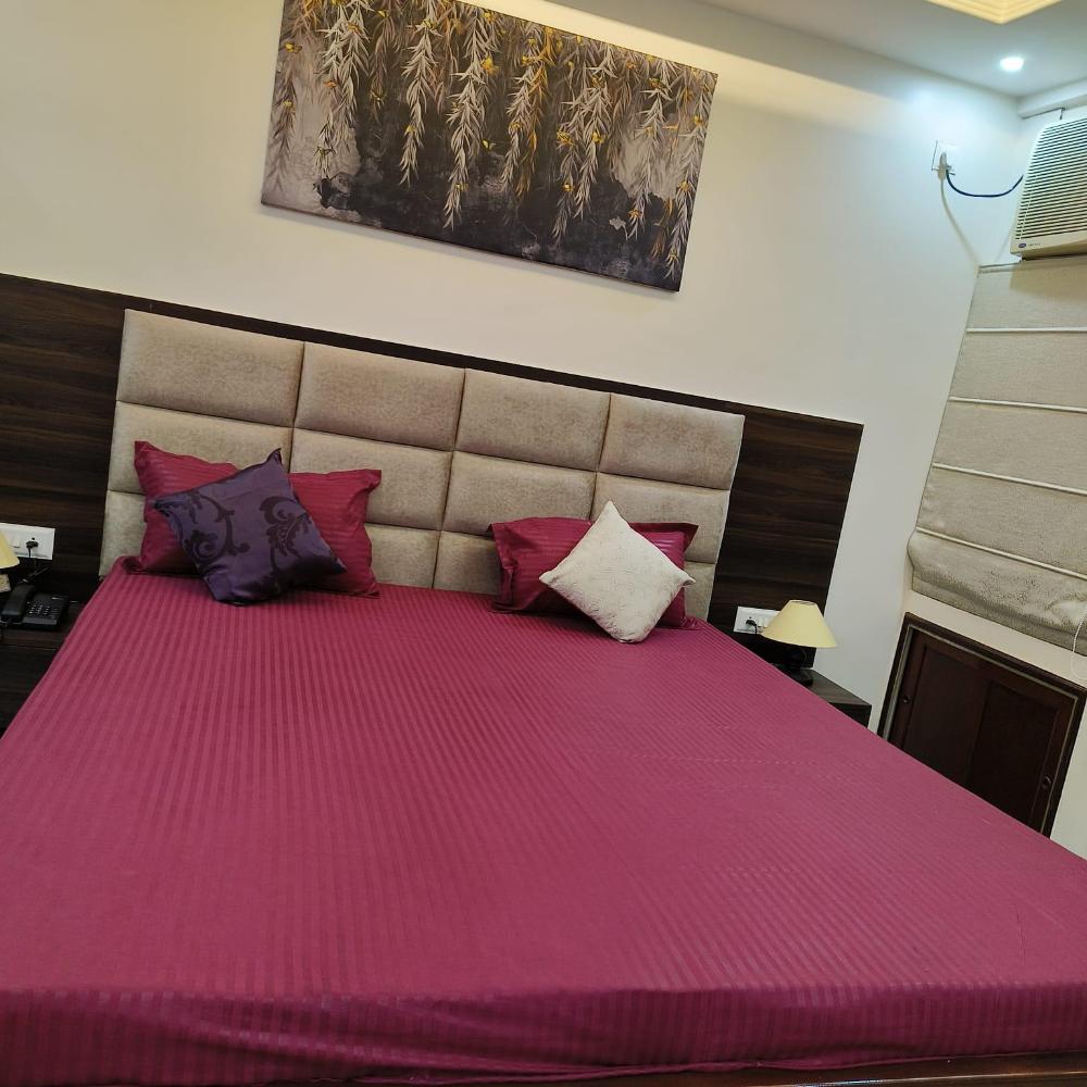 narayan palace luxury homestay