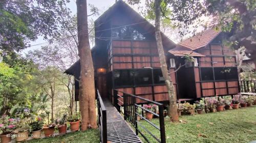 treehouse wayanad