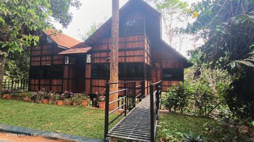 treehouse wayanad
