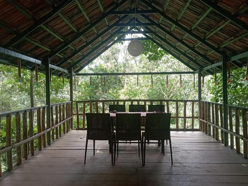 treehouse wayanad