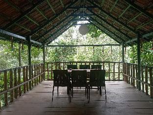 treehouse wayanad