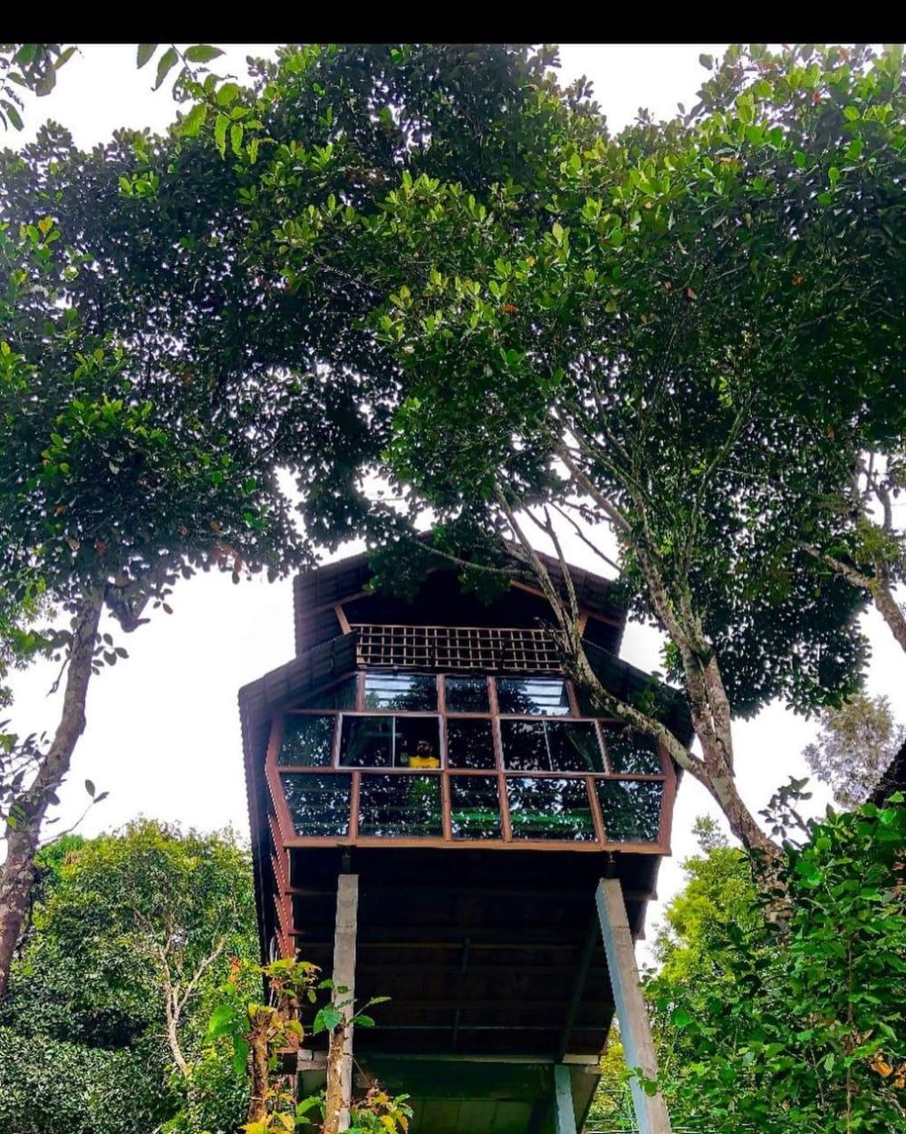 treehouse wayanad