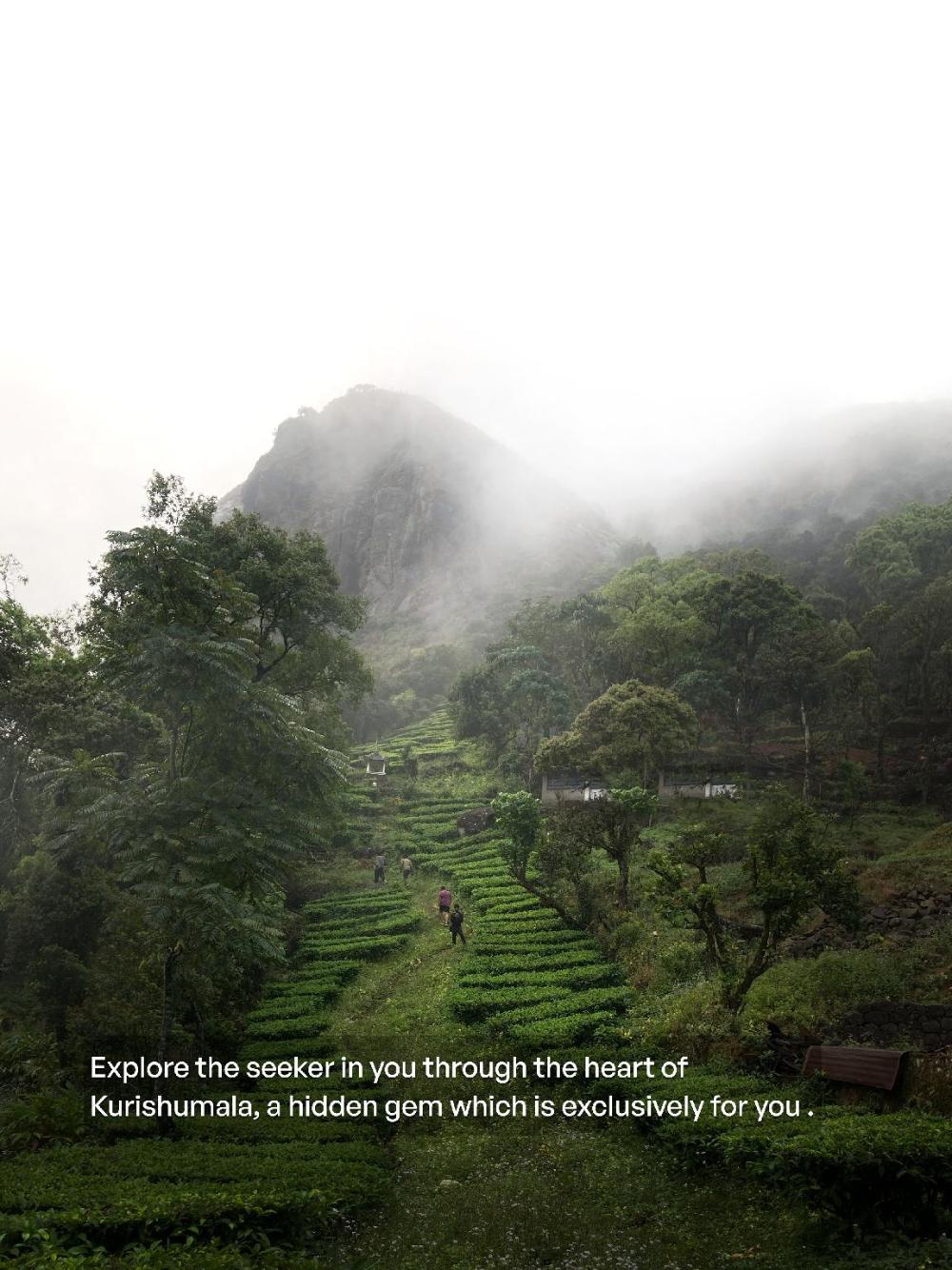 willmount geodesic domes vagamon