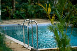 willmount geodesic domes vagamon