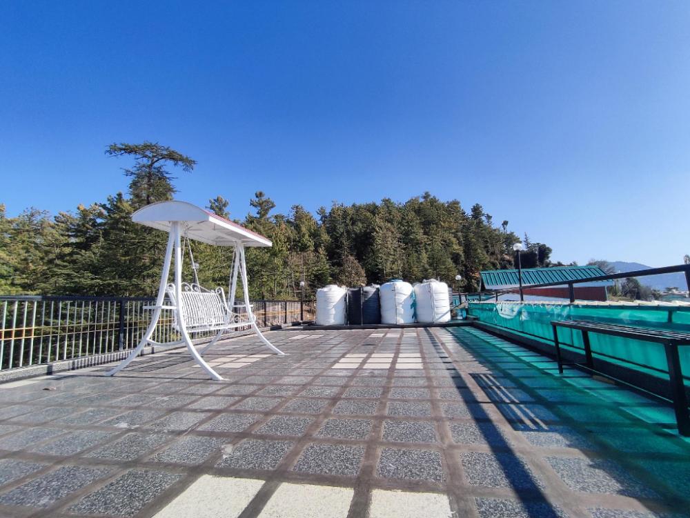 shimla