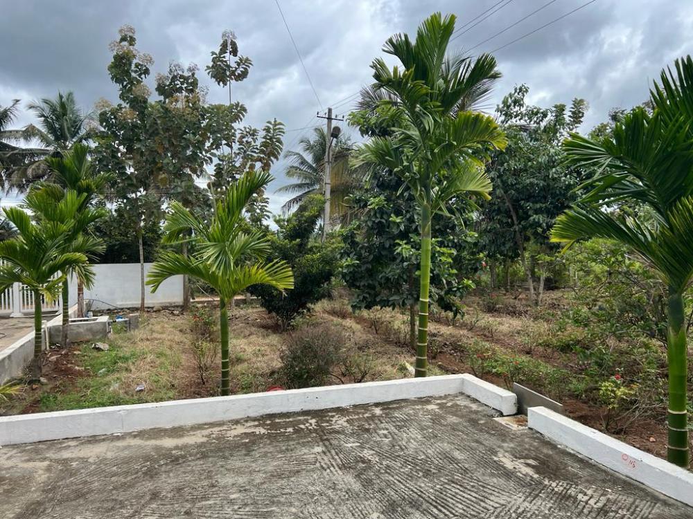 river house farmstay