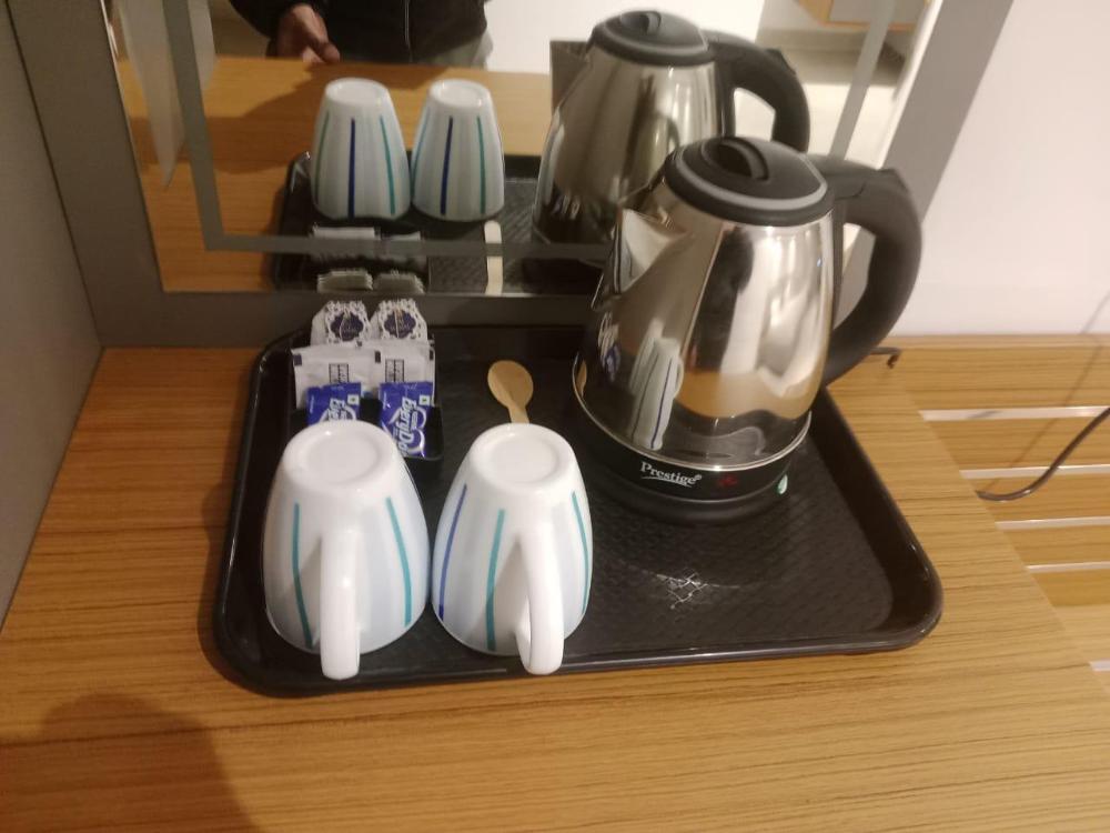 maple tree lucknow couple friendly