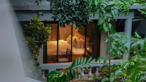 goa