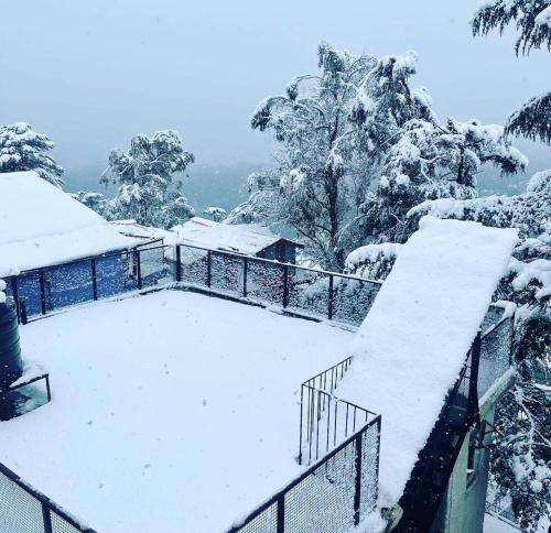 shimla