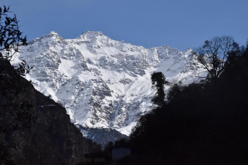 rajgarhi