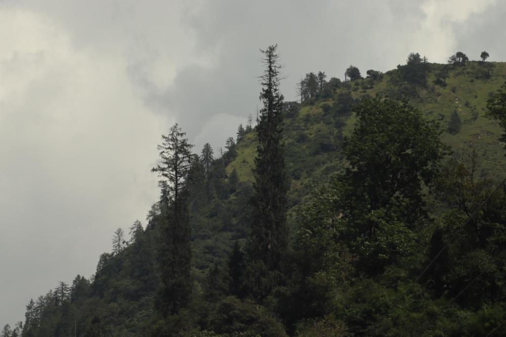 rajgarhi