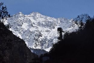 rajgarhi