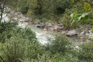 rajgarhi
