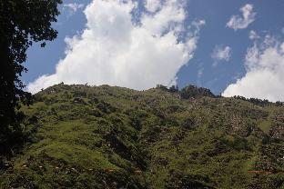rajgarhi