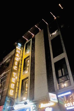 hotel the magic tree karol bagh new delhi