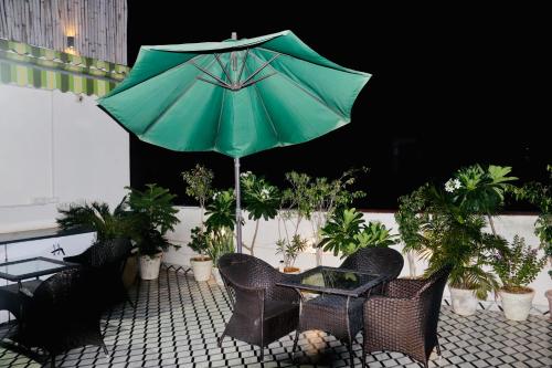 hotel the magic tree karol bagh new delhi