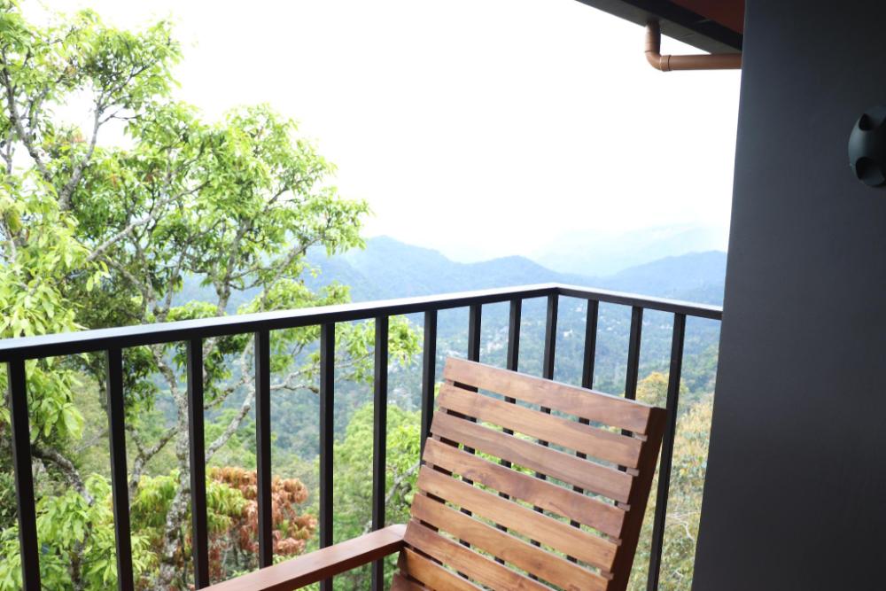kamal misty woods munnar