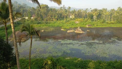 souparnika lakeview homestay