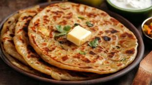 hotel ventus by anvi near delhi airport
