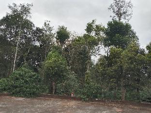 coorg klusters estate stay