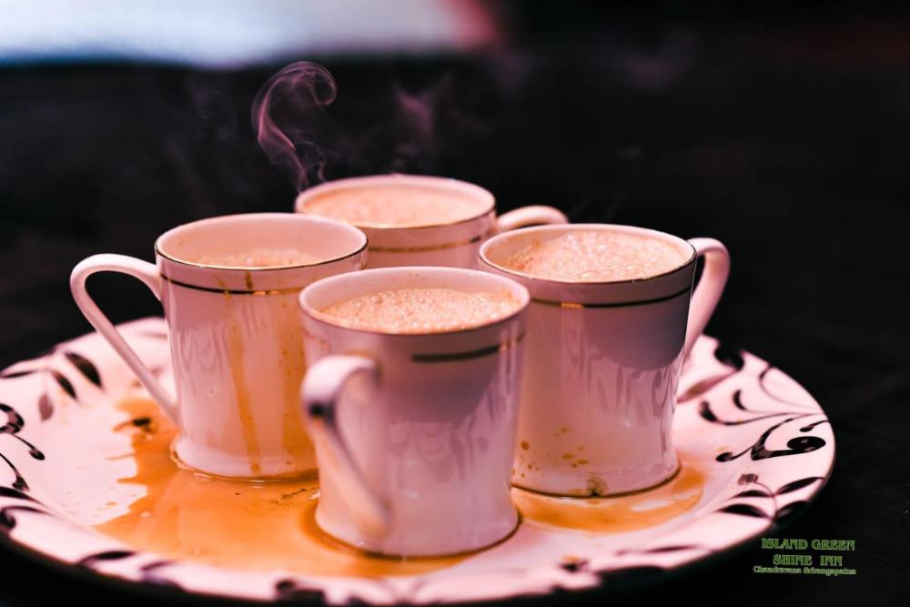 green island nature stay