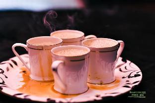 green island nature stay