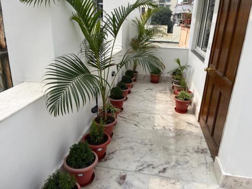 the broome kolkata