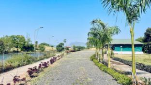 amigos lake resort