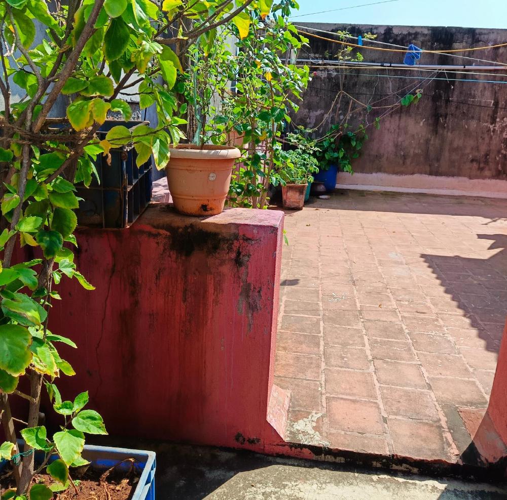 blue waves homestay