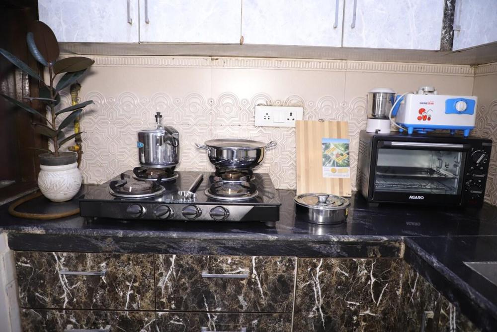 fortune home service apartment 1bhk l 36b saket
