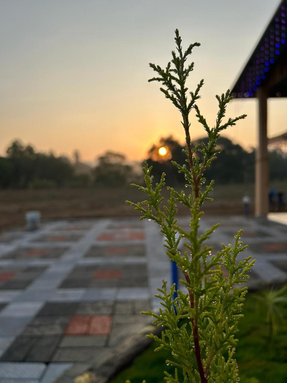 yashovana nature stay gokarna