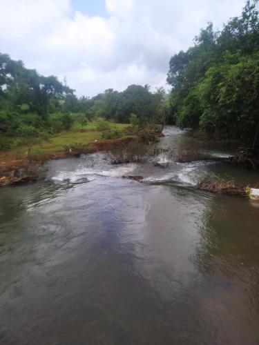 yashovana nature stay gokarna