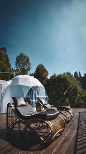 divercity luxury glamping