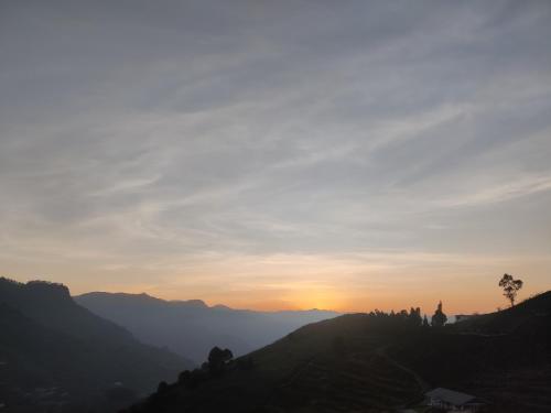 divercity luxury glamping