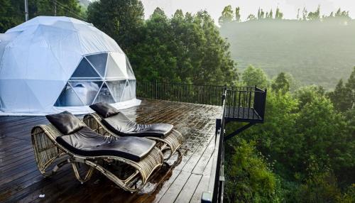 divercity luxury glamping
