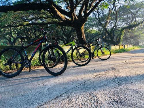 athirappilly sreenilayam heritage resort