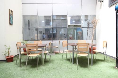 collection o vijay palace