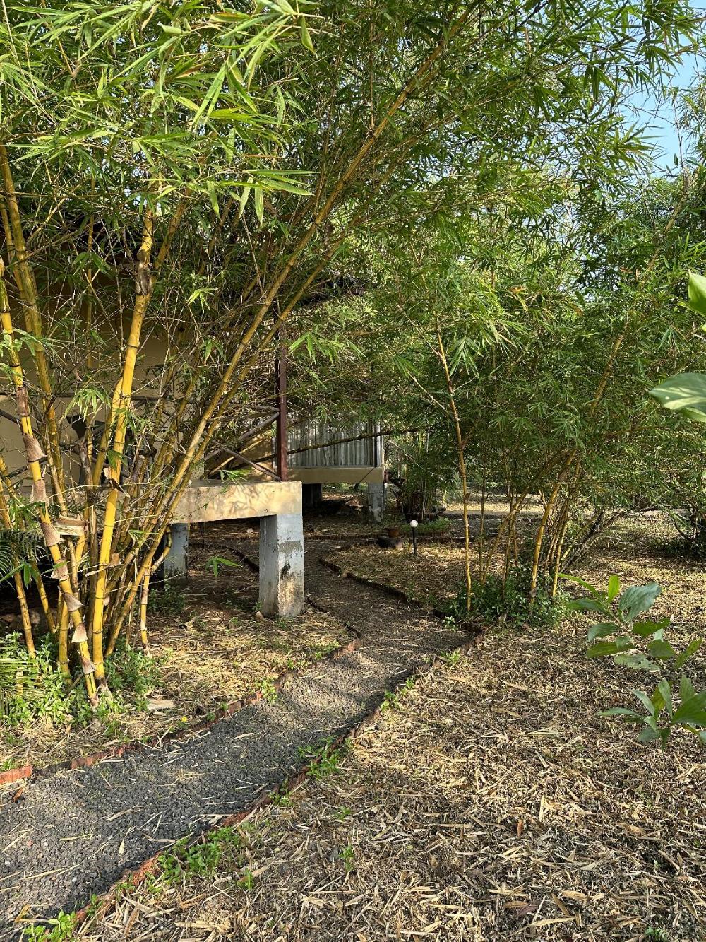 aranya phansad resort