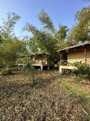 aranya phansad resort