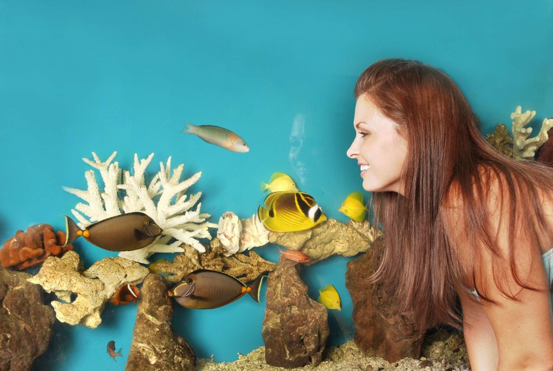 pacific monarch hotel