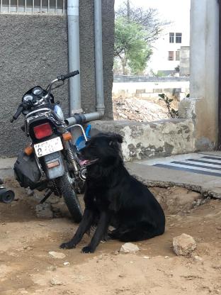 bhai bhai guest house