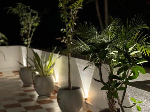 la tamara suite tie hotels and resorts