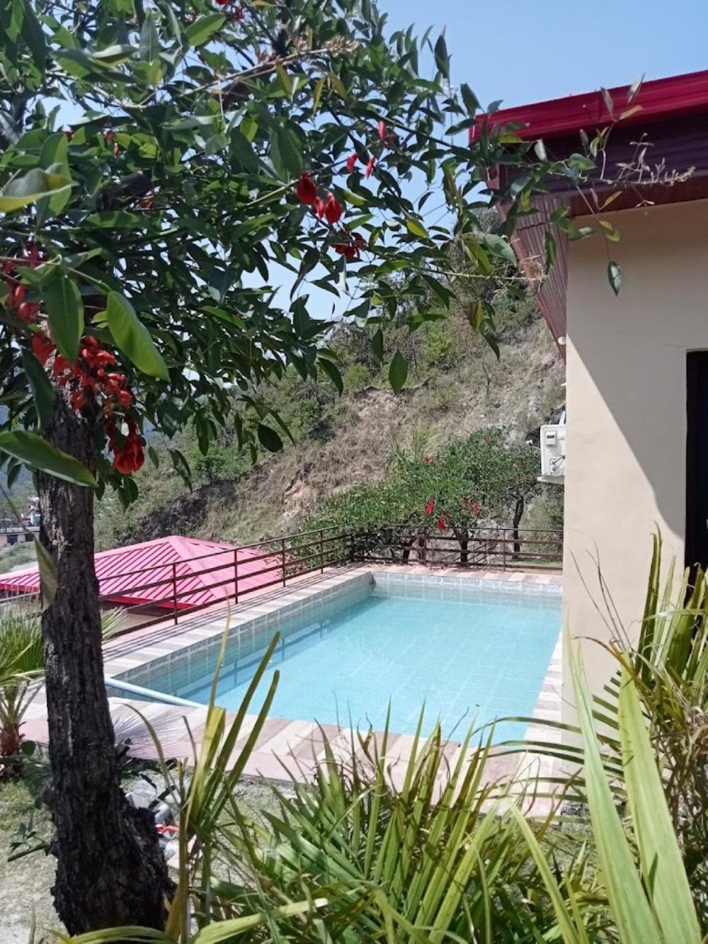 fun n forest resort